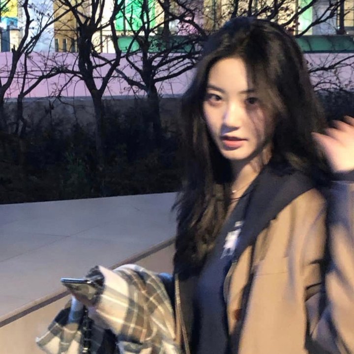 小蚂蚁之环球大冒险