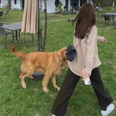 另一个人
